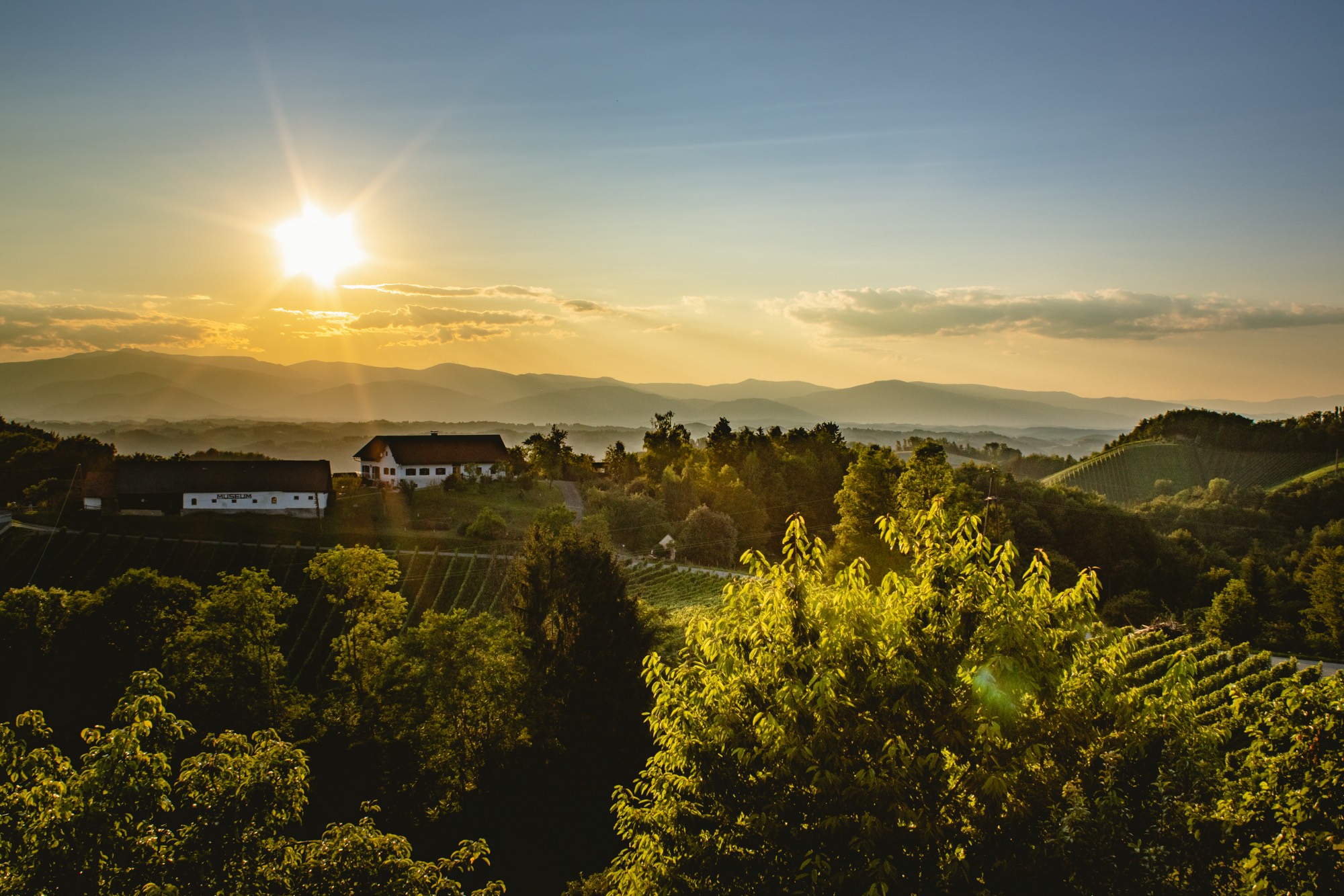 Weingut & Gästehaus Wildbacher Südsteiermark Eichberg-Trautenburg