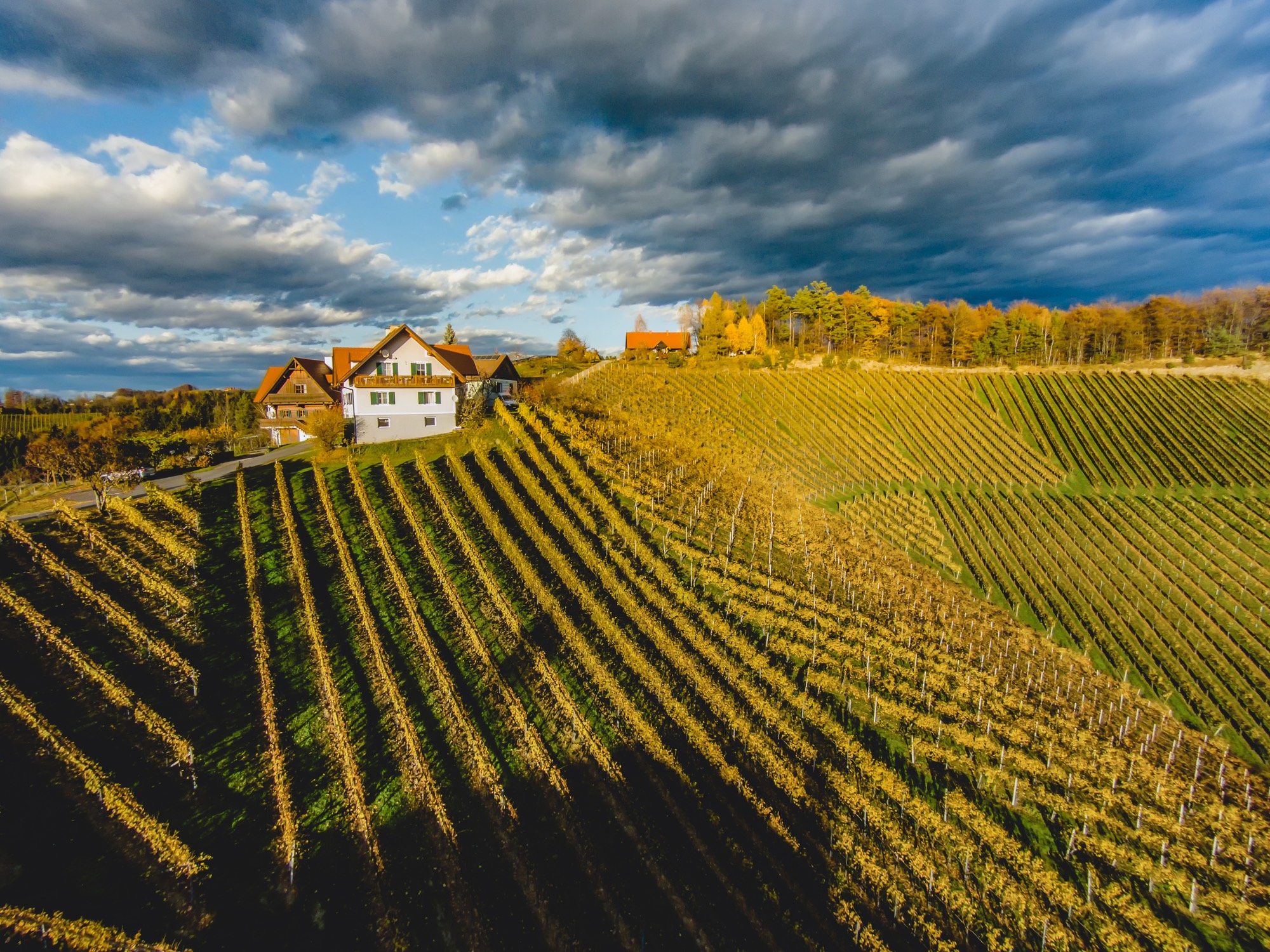 Weingut & Gästehaus Wildbacher Südsteiermark Eichberg-Trautenburg
