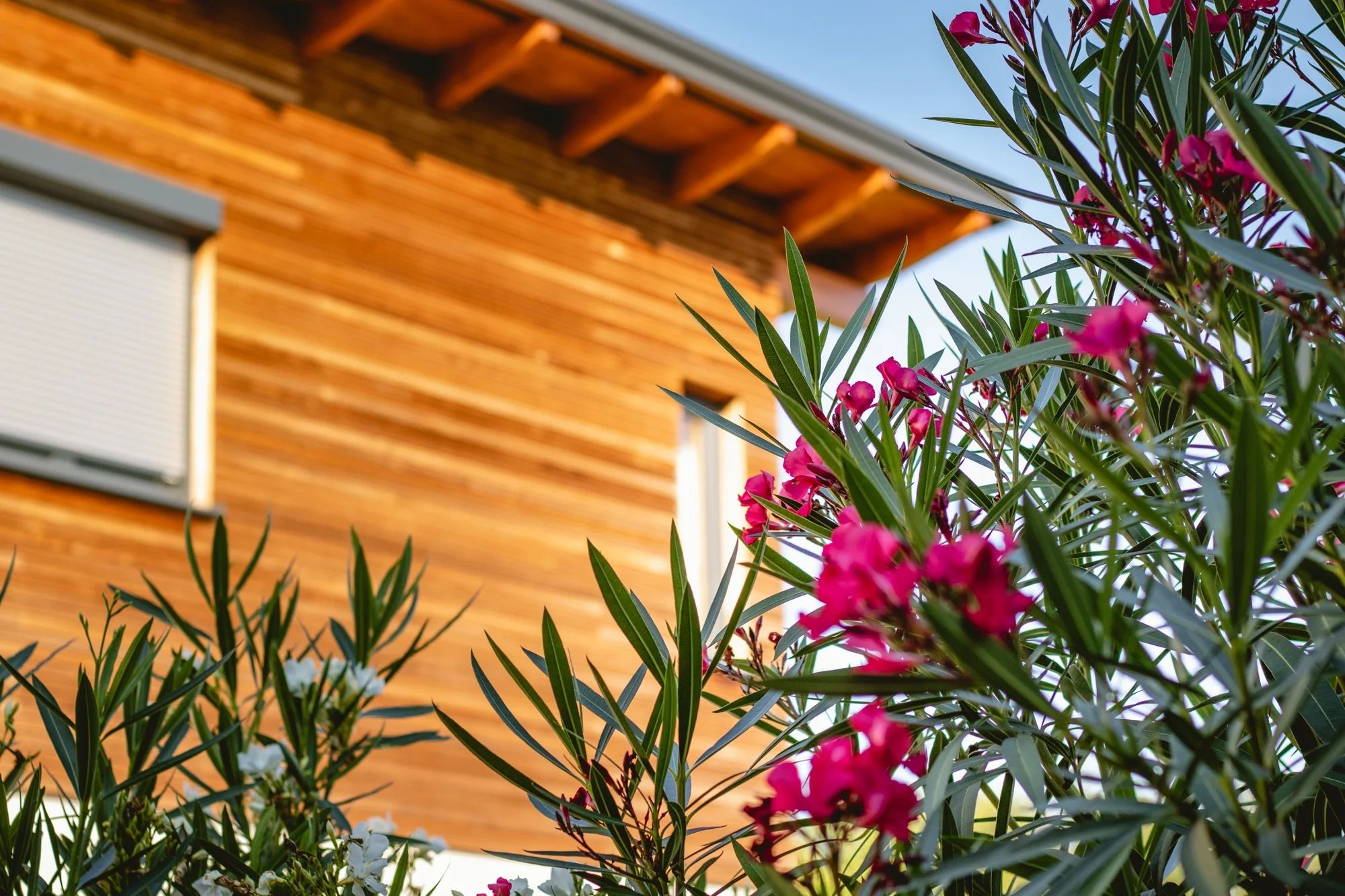 Weingut & Gästehaus Wildbacher Südsteiermark Eichberg-Trautenburg