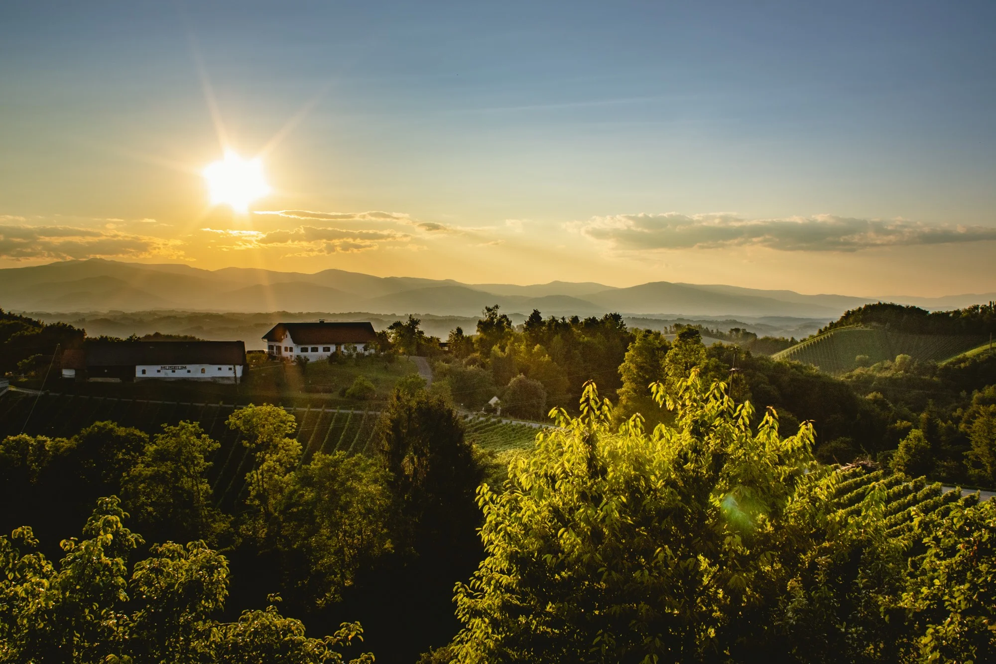 Weingut & Gästehaus Wildbacher Südsteiermark Eichberg-Trautenburg